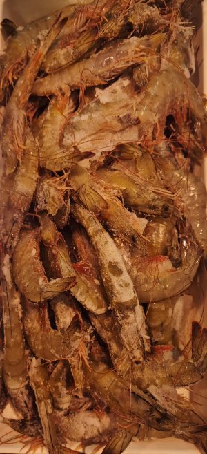 Defrosted Shrimps 30-40