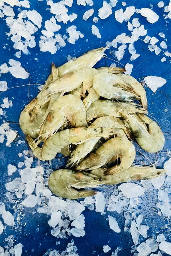 Desfrozen shrimps
