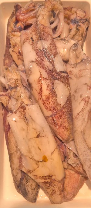 Fresh Squid